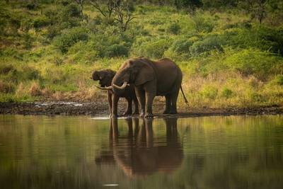 Mavela Game Lodge