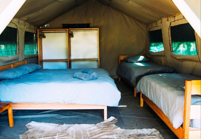 Four Sleeper Tent