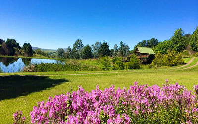 Meadow Lane Country Cottages