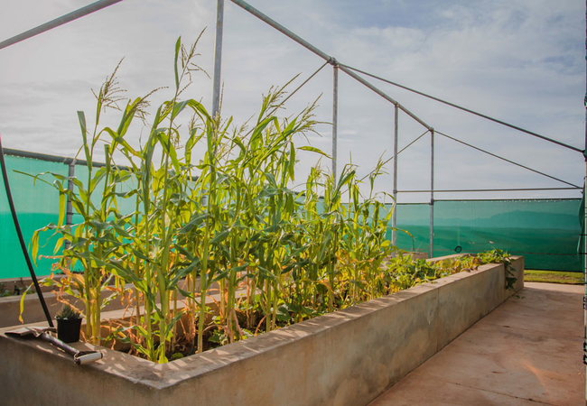Melk Houte Bosch Manor House