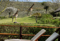 Melozhori Private Game Reserve Lodge