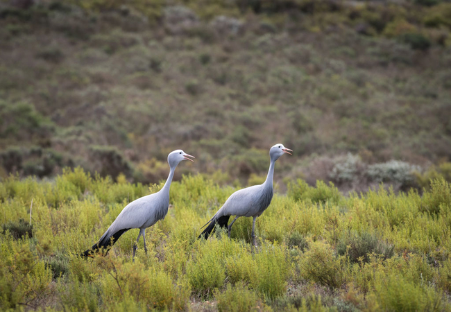 Melozhori Private Game Reserve Lodge