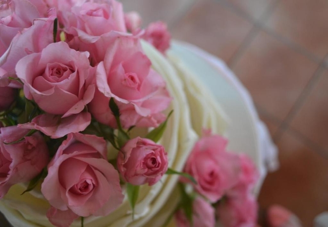 Midrand Wild Goose Guest House