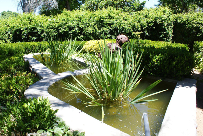 Mieliefontein Karoo Guestfarm