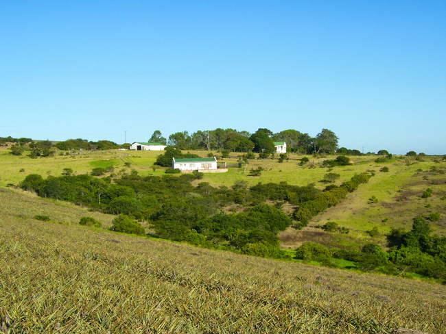 The Milking Parlour Cottage