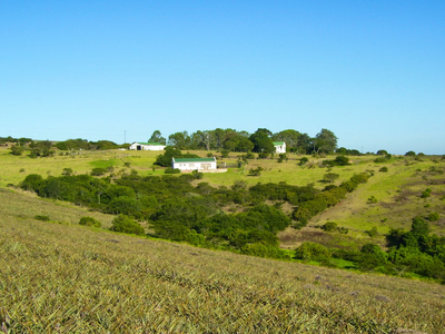 The Milking Parlour Cottage