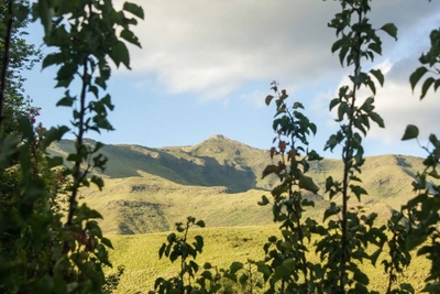 Millerd Mountain Lodge