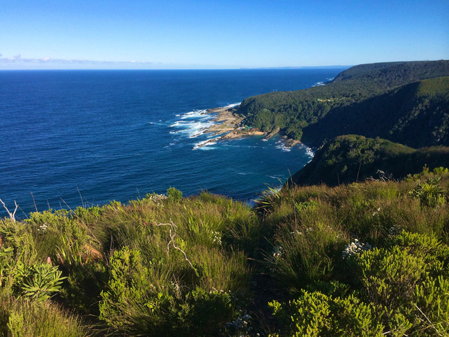 Misty Mountain Reserve