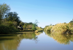 Mogalakwena River Lodge