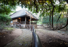 Moholoholo Forest Camp