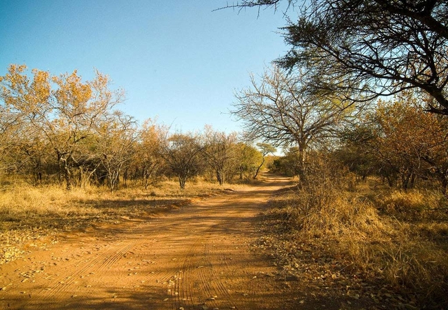 Mokuru Private Nature Reserve