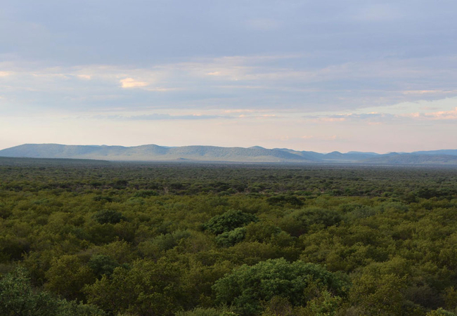 Mokuru Private Nature Reserve