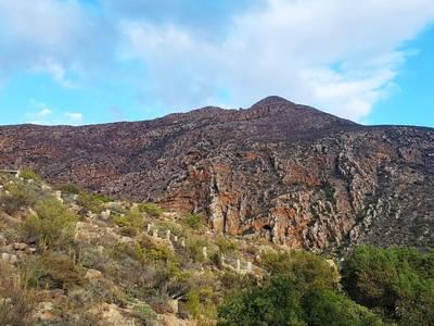 Montagu Little Sanctuary