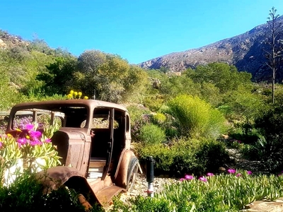 Montagu Little Sanctuary