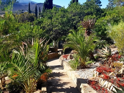 Montagu Little Sanctuary
