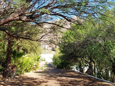 Montagu Little Sanctuary