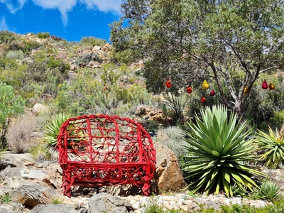 Montagu Little Sanctuary