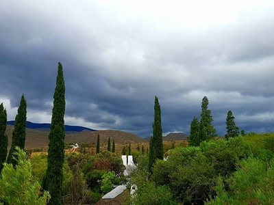 Montagu Little Sanctuary