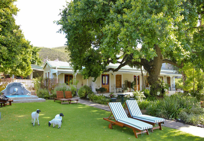 Montagu Vines Guesthouse 