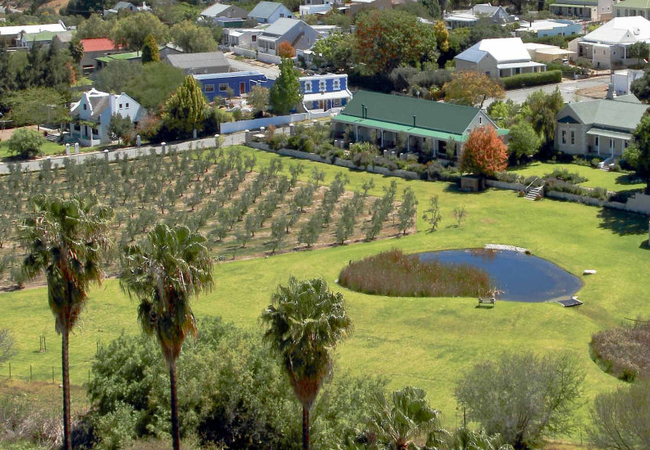 Montagu Vines Guesthouse 