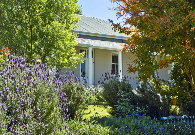 Montagu Vines Guesthouse 