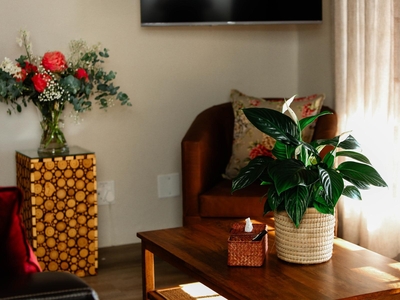 Comfort Self-Catering Chalet