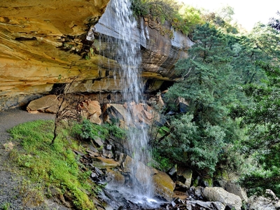 Montusi Mountain Lodge