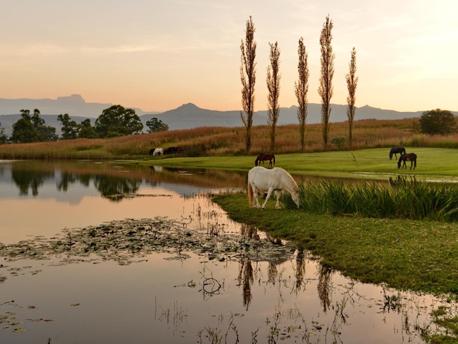 Montusi Mountain Lodge