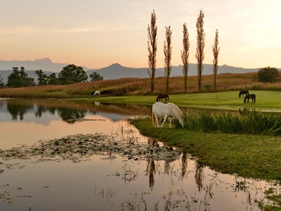 Montusi Mountain Lodge