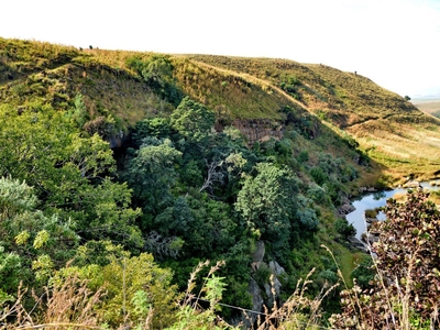 Montusi Mountain Lodge