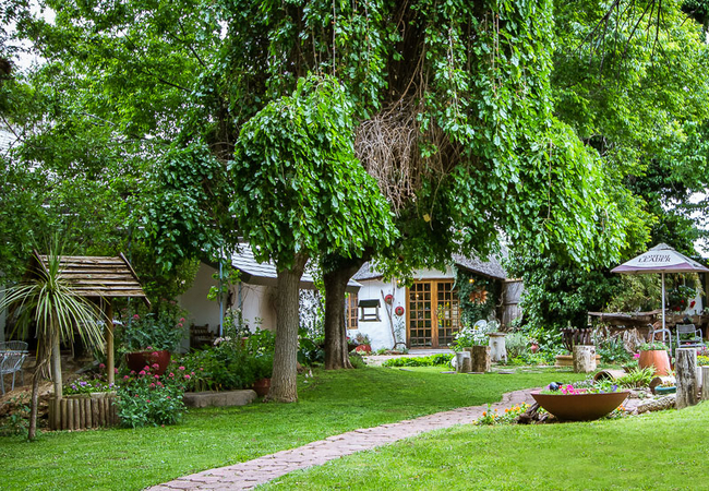 Morning Glory Cottages