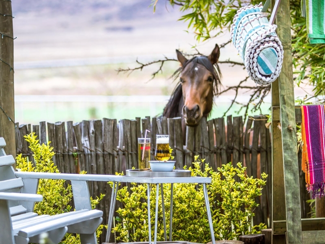 Morning Glory Cottages