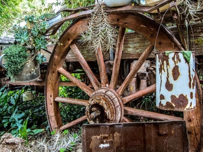 Morning Glory Cottages