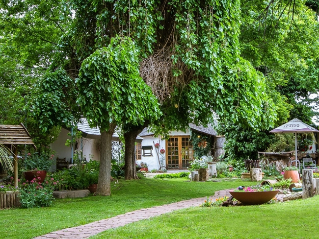 Morning Glory Cottages