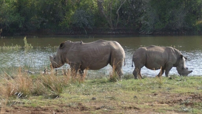 Morokolo Safari Lodge