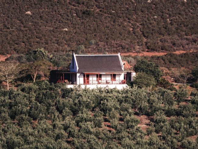 Mosesberg Cottage