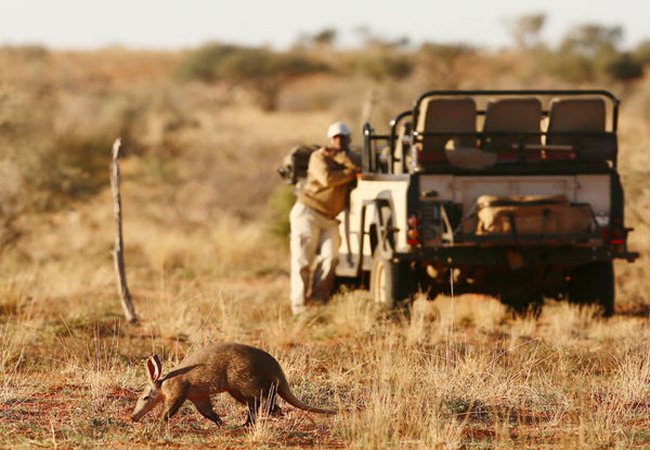 Tswalu Kalahari Reserve