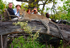 Motswari Private Game Lodge