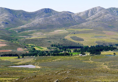 Mountain Pastures