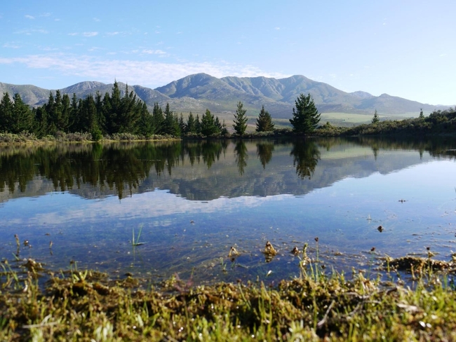 Mountain Pastures