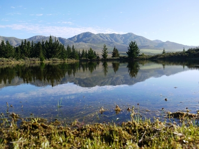 Mountain Pastures