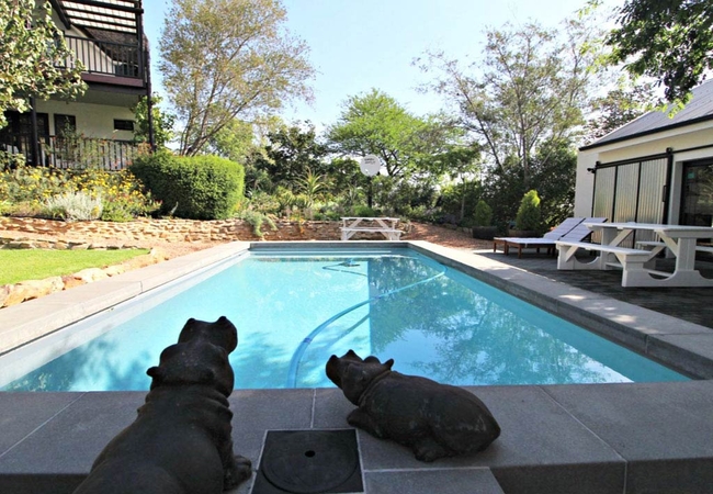 Communal Swimming Pool