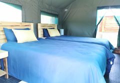 Standard Twin Tent