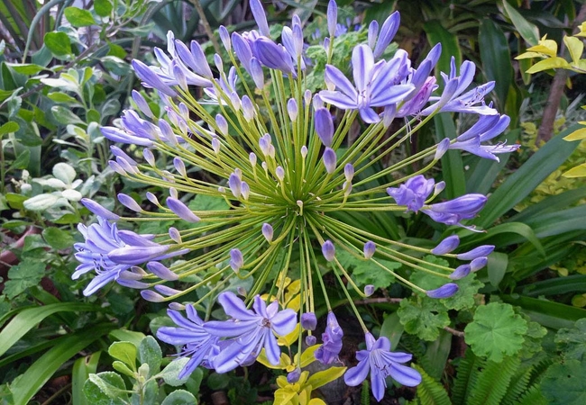Munster Bay Beach House
