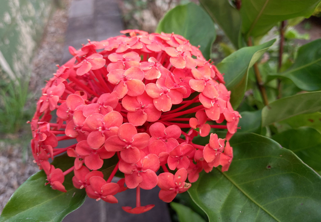 Munster Bay Beach House