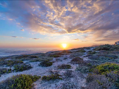 Mussel Cove