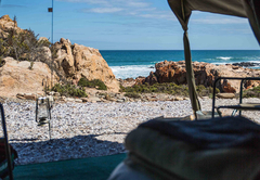 Namaqua Flower Beach Camp