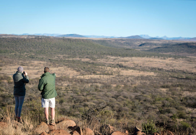 Game drive