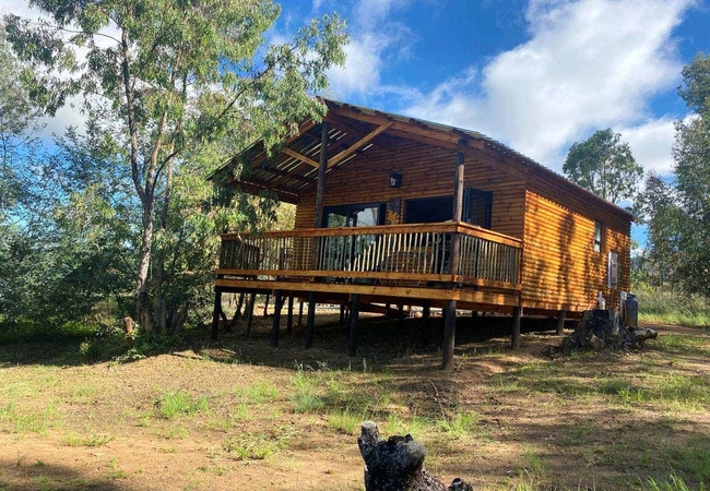 Sunflower Loft