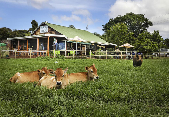 On site Farm Stall - coffee shop & bakery